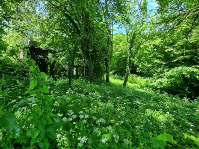 Участок с. Анастасивка 10,00 сот.